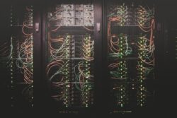 Rewathi Innovations: Why Hosting and Server Management Go Hand in Hand for Jaipur Businesses