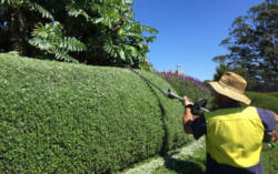 Semms Property Services: Thoughtful Landscape Design for Bowral Homes