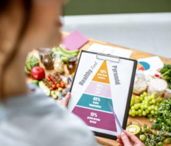 School Food Service Software for Better Meal Program Management