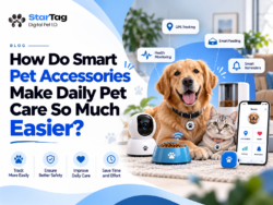 How Do Smart Pet Accessories Make Daily Pet Care So Much Easier?