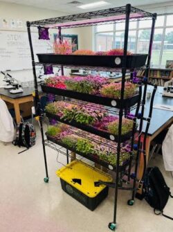 Farming The Future: Vertical Hydroponic Tower for Classroom Learning