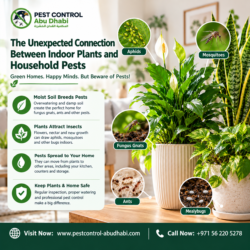 The Unexpected Connection Between Indoor Plants and Household Pests