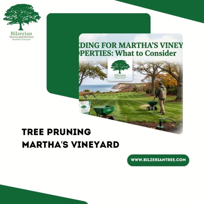 Tree Pruning Martha’s Vineyard